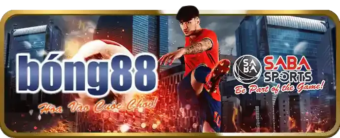Đá Gà Thomo trực tiếp